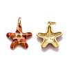 Brass Enamel Pendants KK-O140-09G-2