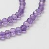 Natural Amethyst Bead Strands G-P271-3mm-09-4