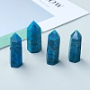 Point Tower Natural Apatite Home Display Decoration PW-WG91959-03-3