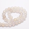 Dyed Natural White Agate Faceted Round Beads Strands G-E320B-10mm-06-2