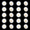  20Pcs Natural Freshwater Shell Beads PEAR-NB0001-14-7