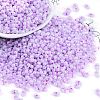Lustered Glass Seed Beads SEED-K010-04A-1