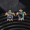 304 Stainless Steel Natural Paua Shell Stud Earrings EJEW-Z103-05G-01-2