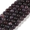 Natural Lepidolite/Purple Mica Stone Beads Strands G-P530-B06-02-1