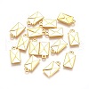 Alloy Charms EA10711Y-NFG-1