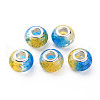 Crackle Two Tone Resin European Beads RPDL-T003-06I-1