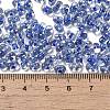 Glass Seed Beads SEED-K009-08A-09-4