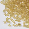 8/0 Two Cut Glass Seed Beads SEED-S033-11A-01-2