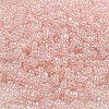 Ceylon Glass Seed Beads SEED-K009-02B-29-3