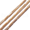 Natural Trochid Shell/Trochus Shell Beads SSHEL-O001-26A-3