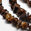 Chip Natural Tiger Eye Beads Strands G-N0134-09-3