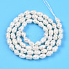 Natural Cultured Freshwater Pearl Beads Strands PEAR-N012-04L-01-3