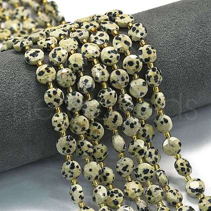 Natural Dalmatian Jasper Beads Strands G-C116-A31-02-1