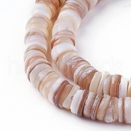 Shell Beads Strands SSHEL-E571-49D-1