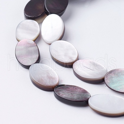 Natural Black Lip Shell Beads Strands SSHEL-E571-47-1