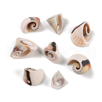 Natural Shiva Eye Shell Pendants SHEL-K009-17E-1