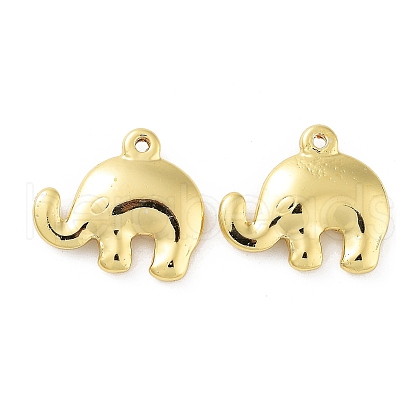 304 Stainless Steel Pendants STAS-F304-02G-06-1