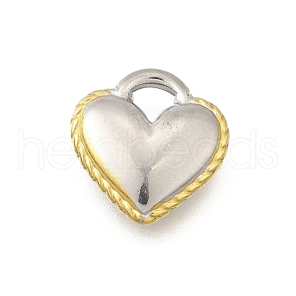 304 Stainless Steel Charms STAS-K252-07PG-1