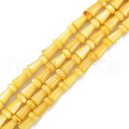 Natural Freshwater Shell Beads Strands SHEL-G013-02H-1