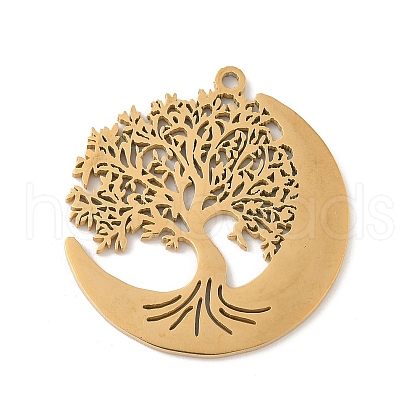 304 Stainless Steel Pendants STAS-V016-10G-1