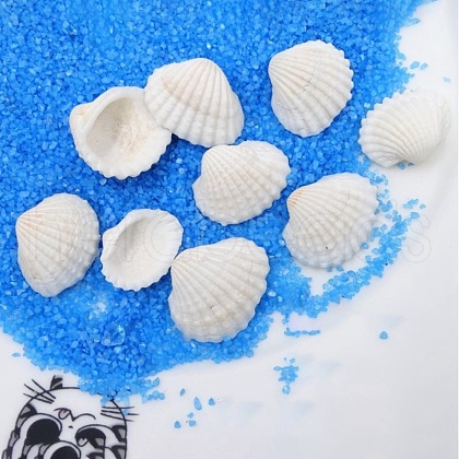 Natural Shell Beads BSHE-WH0004-03-1