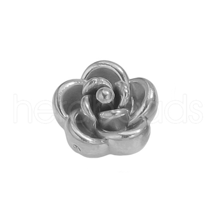 304 Stainless Steel Beads STAS-H235-06B-P-1