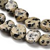 Natural Dalmatian Jasper Beads Strands G-P497-01E-80-4