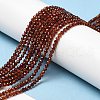 Natural Garnet Bead Strands G-G663-03-2mm-01-4