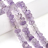 Natural Amethyst Beads Strands G-N347-09A-05-1