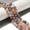 Natural Botswana Agate Beads Strands G-K382-A14-02-1