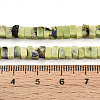 Natural Serpentine Beads Strands G-T140-50-5
