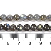 Natural Gemstone Labradorite Round Beads Strands G-E251-33-6mm-01-8