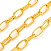 Iron Paperclip Chains CH-R025-10x5mm-G-1