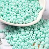 Baking Paint Glass Seed Beads X1-SEED-B001-02A-14-1