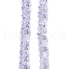 Electroplate Glass Beads Strands EGLA-P063-PL05-1