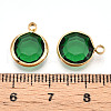 K9 Glass Charms X1-GLAA-T023-37A-06-3