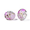 Resin European Beads RPDL-N014-06-07-3