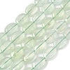 Natural Prehnite Beads Strands G-F790-A02-02-2