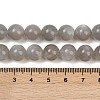 Natural Grey Moonstone Beads Strands G-G206-A01-10mm-5