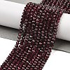 Natural Garnet Beads Strands G-K376-B08-02-2