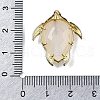 Natural Moonstone Pendants G-U019-02G-03-3