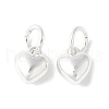 Alloy Pendants FIND-B046-03A-S-1
