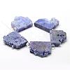 Electroplated Natural Druzy Crystal Beads Strands G-N0257-01-2