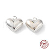 925 Sterling Silver Charms STER-H106-01B-S-2