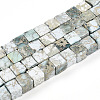 Natural Variscite Beads Strands G-T140-41A-4