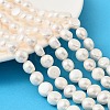 Natural Cultured Freshwater Pearl Beads Strands PEAR-P064-19I-04D-1