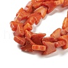 Natural Howlite Beads Strands TURQ-K006-01C-4