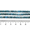 Natural Apatite Beads Strands G-G189-D16-02-5