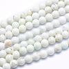 Natural Magnesite Beads Strands TURQ-G148-09-6mm-1