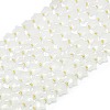Natural Quartz Crystal Beads Strands G-P573-C03-01-3